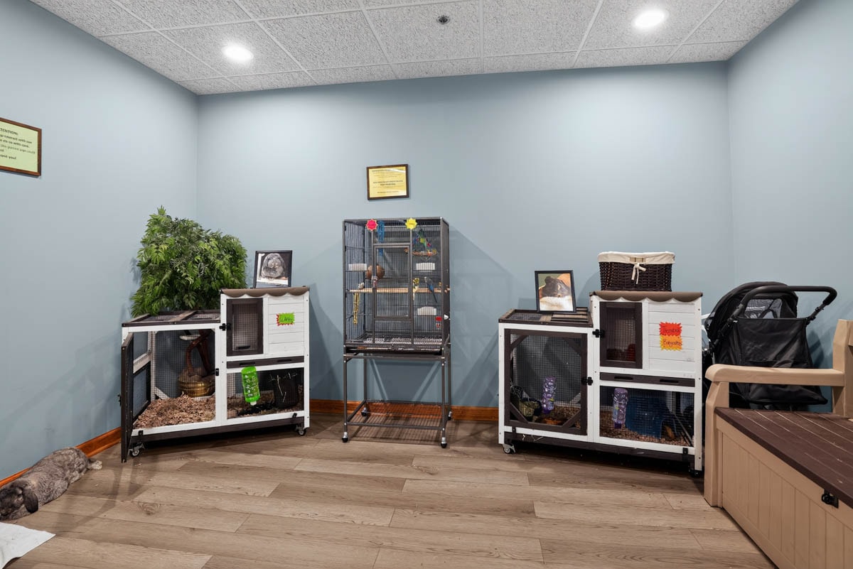Pet area at Golden Heights